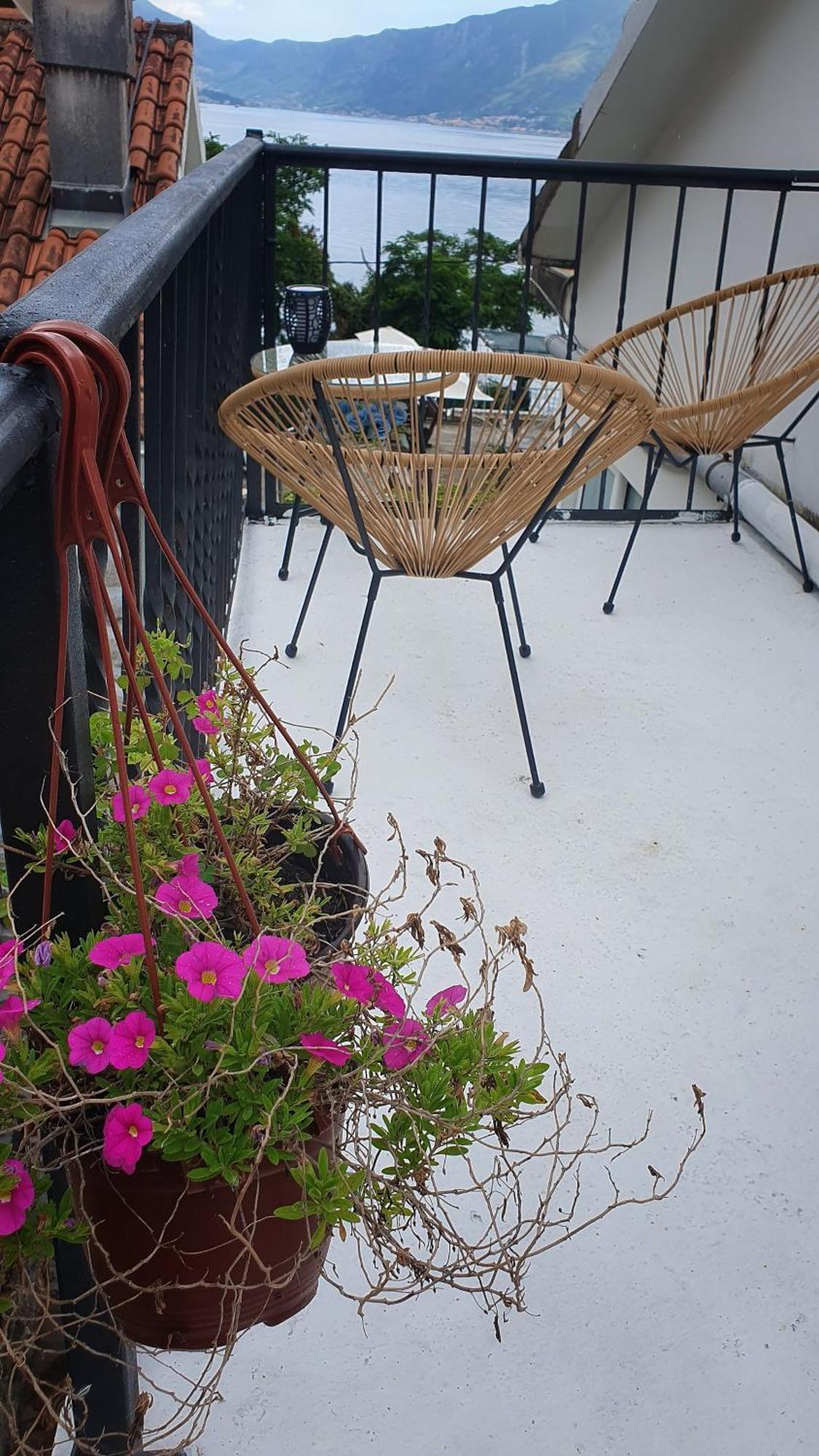Sea Side Apartment 科托尔 客房 照片